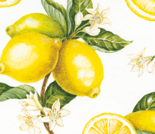 Citronová ilustrace