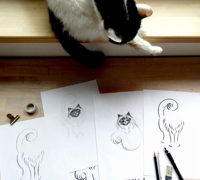 Carmetina’s cattery